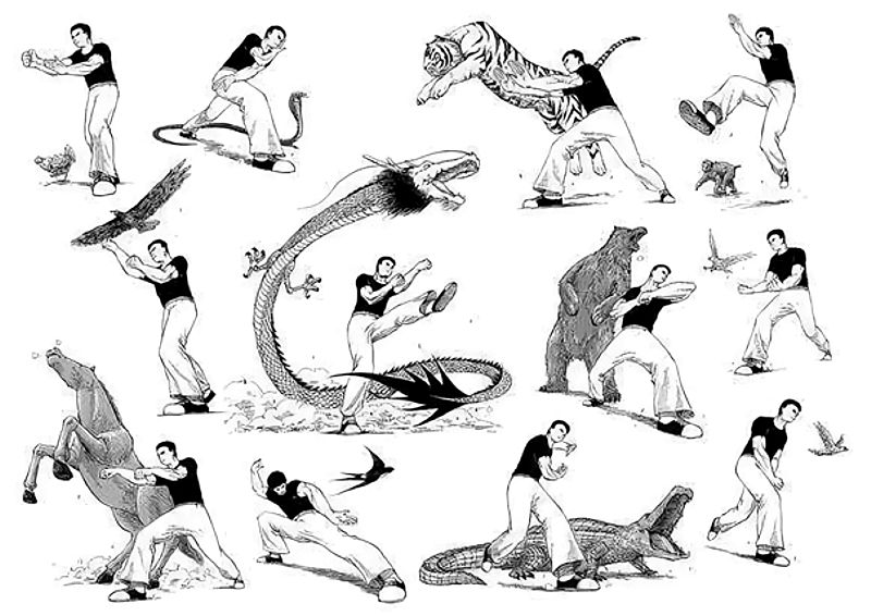 животные в китайской гимнастике