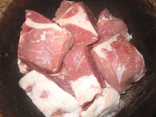 Порежьте мясо кусочками и поставьте его в духовку в чугунке