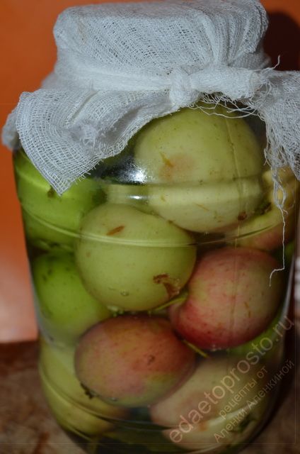 Залить рассол в банку с яблоками, фото приготовления моченых яблок в домашних условиях