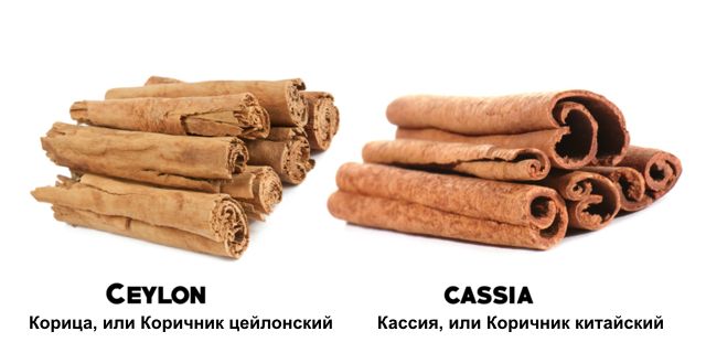 фото корицы для настойки и кассии, которой следует избегать