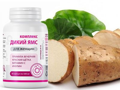 Дикий ямс