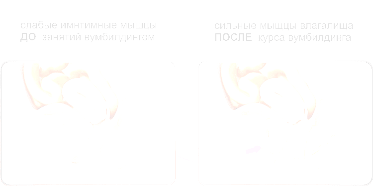 суть вумбилдинга в развитии мышц влагалища