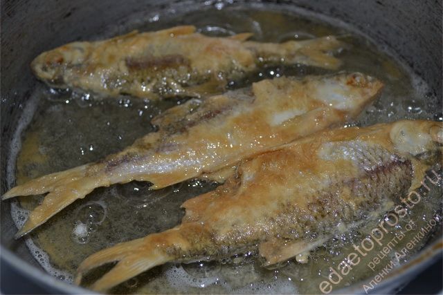 Выложить на раскаленную сковороду запанированную рыбу, пошаговое фото  приготовления жареной плотвы